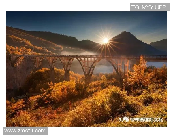 新西兰队与黑山队激战正酣谁将赢得这场国际友谊赛的胜利